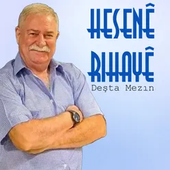 Deşta Mezın