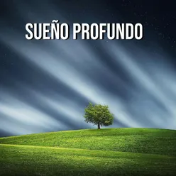 Sueño Profundo