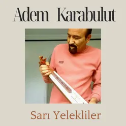 Sarı Yelekli Kızlar