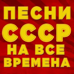 Свадебные кони