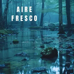 Aire fresco