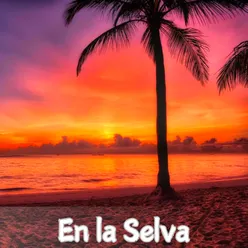 Amanecer en la Selva