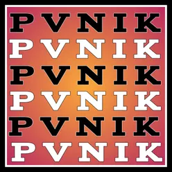 P V N I K