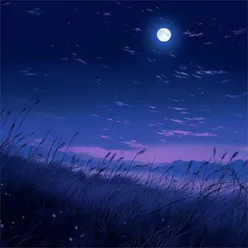 夜之主题原创曲集