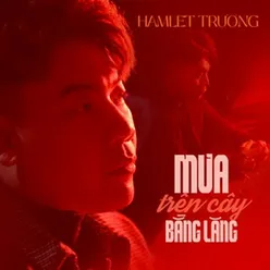 Mưa Trên Cây Bằng Lăng - Short Version 2