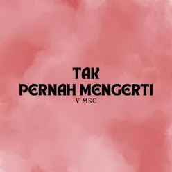 Tak Pernah Mengerti