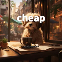 cheap