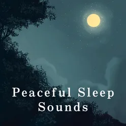 Silhouettes of Peaceful Slumber