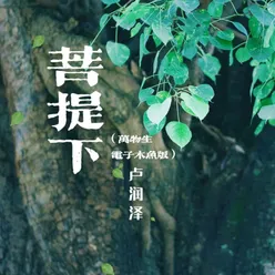 菩提下（万物生电子木鱼版）