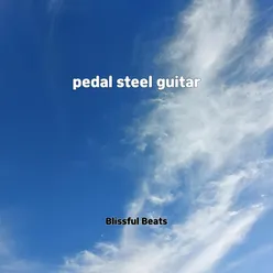 pedal steel guitar