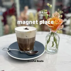 magnet place