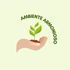 Ambiente armonioso