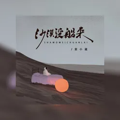 沙漠没船来