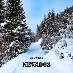 Caminos Nevados