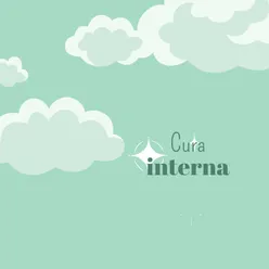 Cura interna