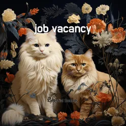 job vacancy