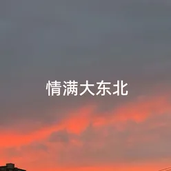 情满大东北