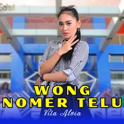 Wong Nomer Telu