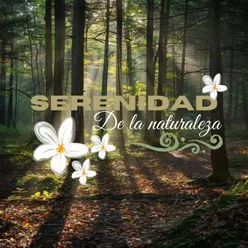 Serenidad en la Naturaleza