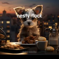 nesty flock