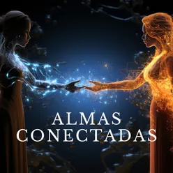 Almas Conectadas