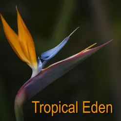 Tropical Eden