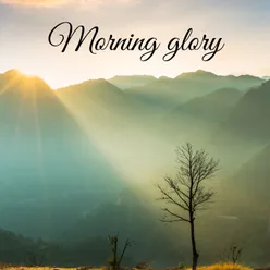 Morning glory