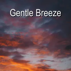 Gentle Breeze