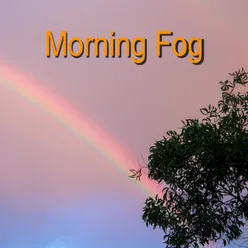 Morning Fog