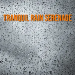 Tranquil Rain Serenade