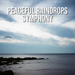 Peaceful Raindrops Symphony