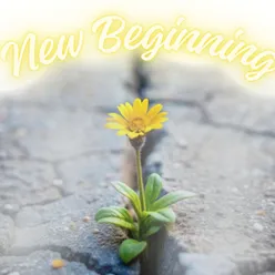 New Beginning