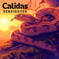 Calidas Serpientes