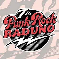 Punk Rock Raduno, Vol. 7