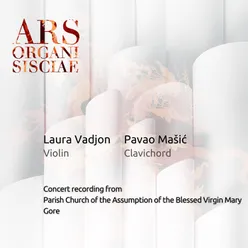 Violin Sonata No. 13 in D Major, HWV 371: IV. Allegro