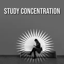 Memory Retention Study