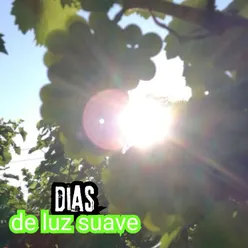 Dias de Luz Suave