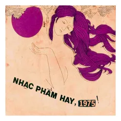 Mấy Nhịp Cầu Tre