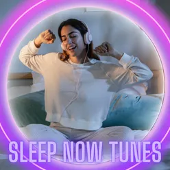 Rapid Sleep Beats