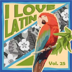 I Love Latin, Vol. 25