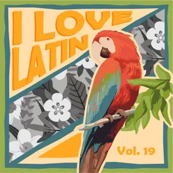 I Love Latin, Vol. 19