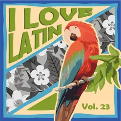 I Love Latin, Vol. 23