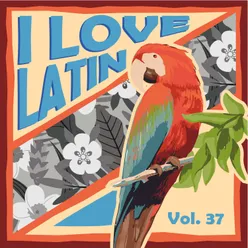 I Love Latin, Vol. 37