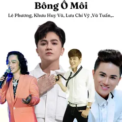 Bông Ô Môi