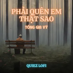 Phải Quên Em Thật Sao