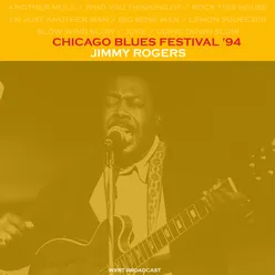 Chicago Blues Festival Live '94