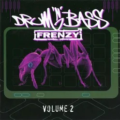 Drum 'n' Bass Frenzy, Vol. 2