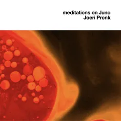 meditations on Juno