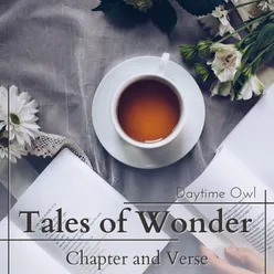 Tales of Wonder - Chapter and Verse