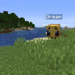 Dream Is A Bee